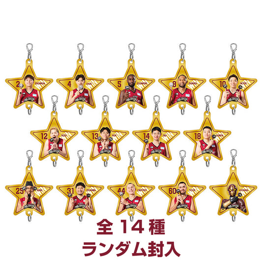 【勝利時限定】勝星チャームキーホルダー(ランダム)