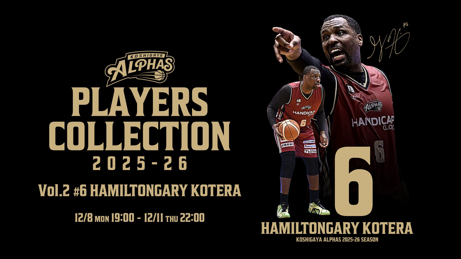 越谷アルファーズ オフィシャルグッズオンラインショップ