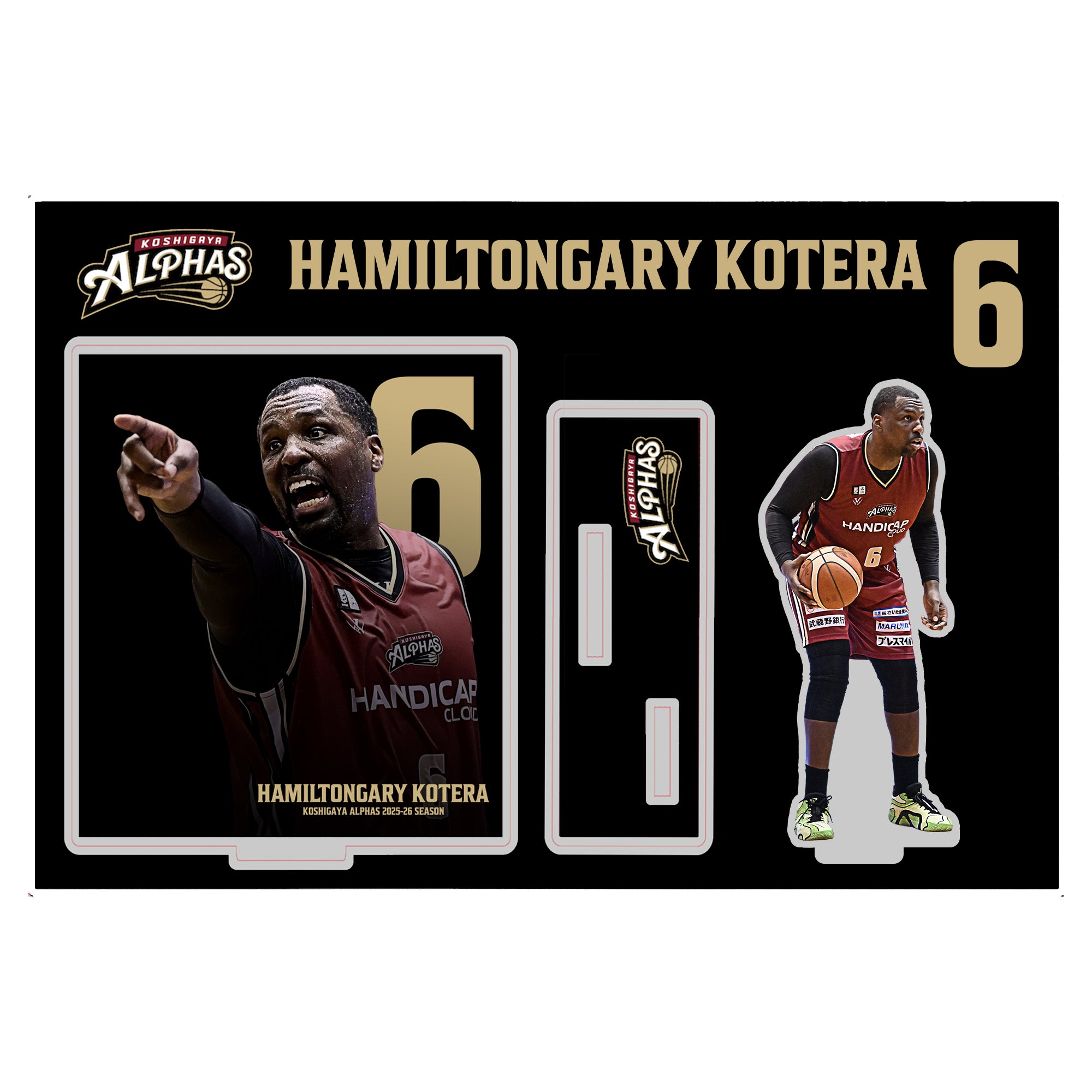 越谷アルファーズ オフィシャルグッズオンラインショップ