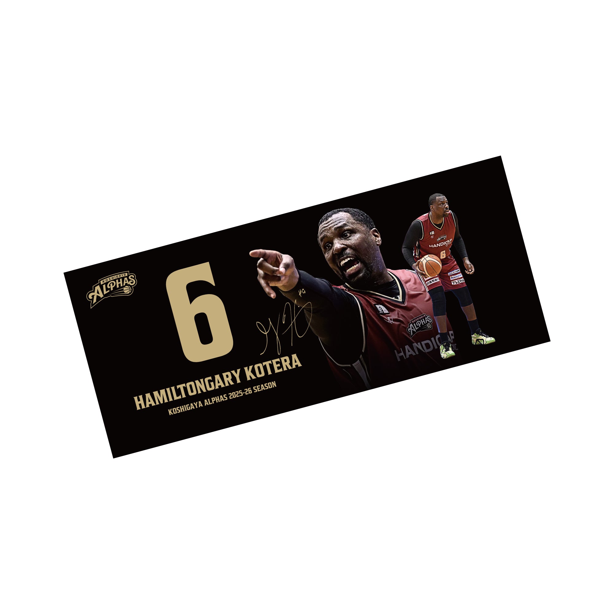 越谷アルファーズ オフィシャルグッズオンラインショップ