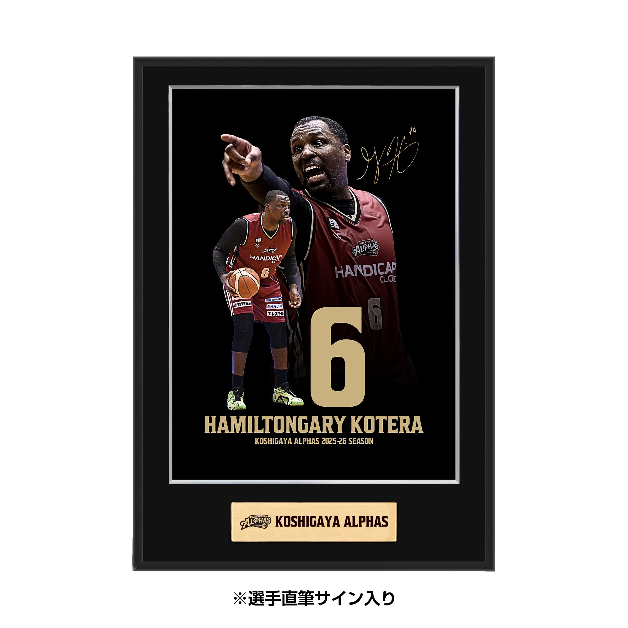 越谷アルファーズ オフィシャルグッズオンラインショップ