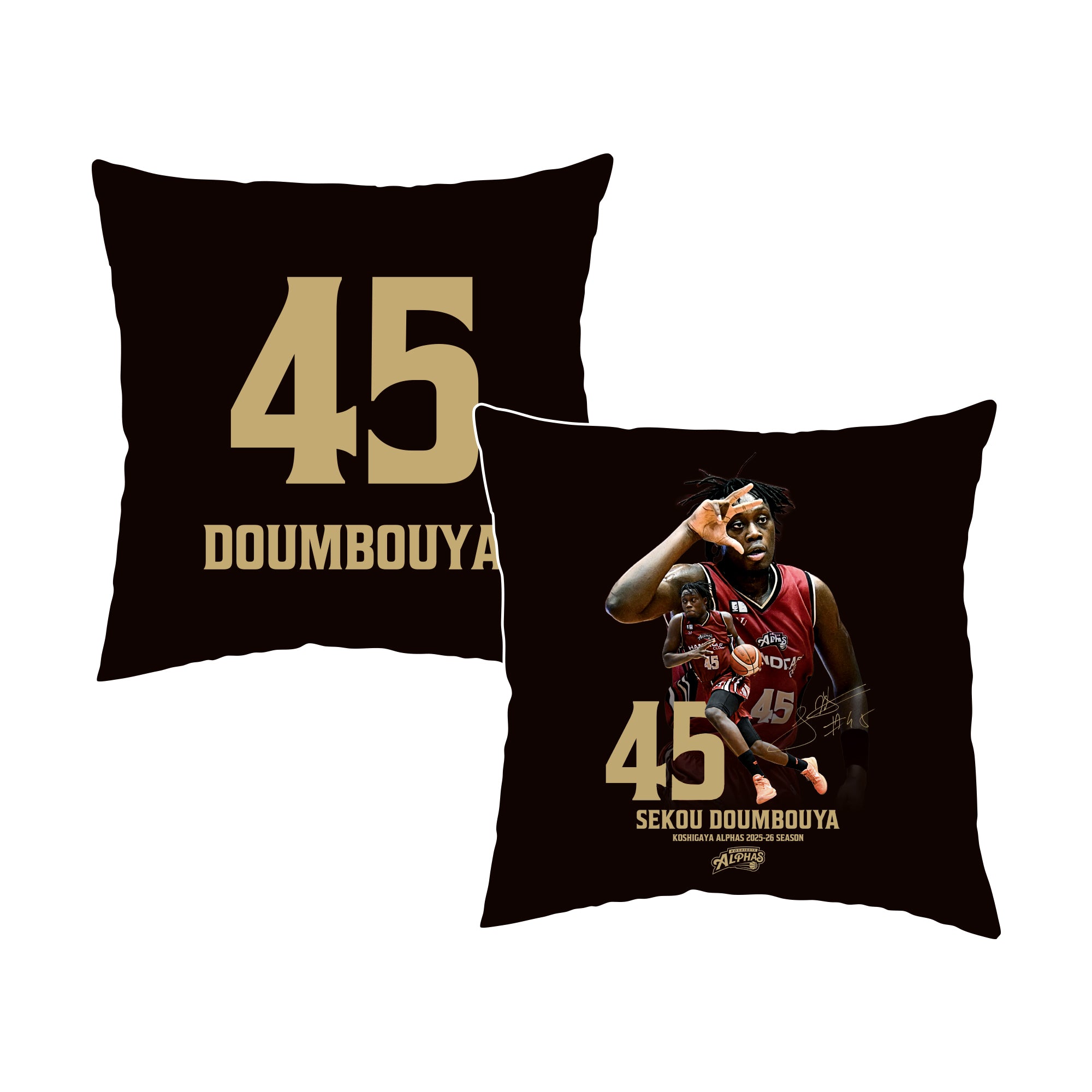 越谷アルファーズ 四家魁人 2 サイン入りトートバッグ 3点セット Kaito Shike (@S3_kaito) / Posts / X