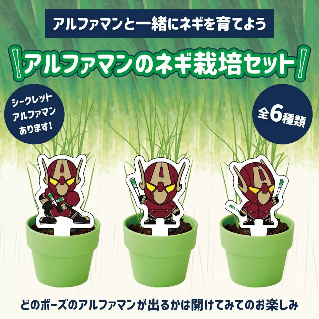 アルファマンのネギ栽培セット